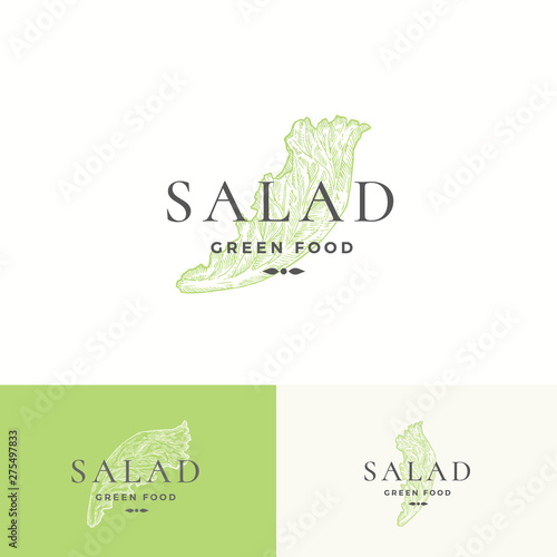 Salad Lettuce Abstract Vector Sign, Symbol or Logo Template. Premium Vegetable or Green Food Emblem. Hand Drawn Salad Leaf Sketch Illustration with Modern Typography.
