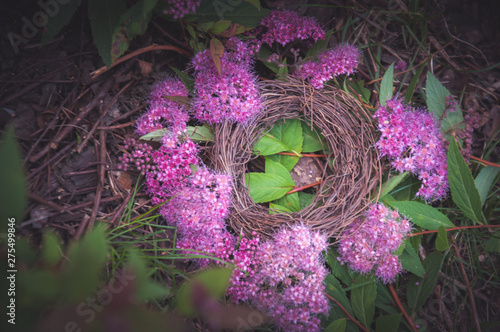 Purple nest as a digital backdrop for newborn photography  photo