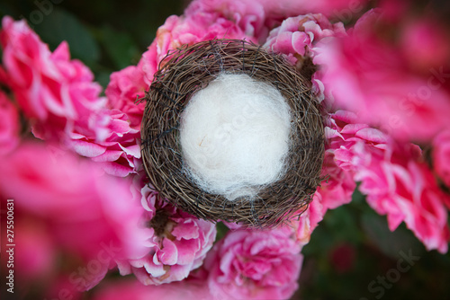 Roses digital backdrop for creative newborn photographers  photo