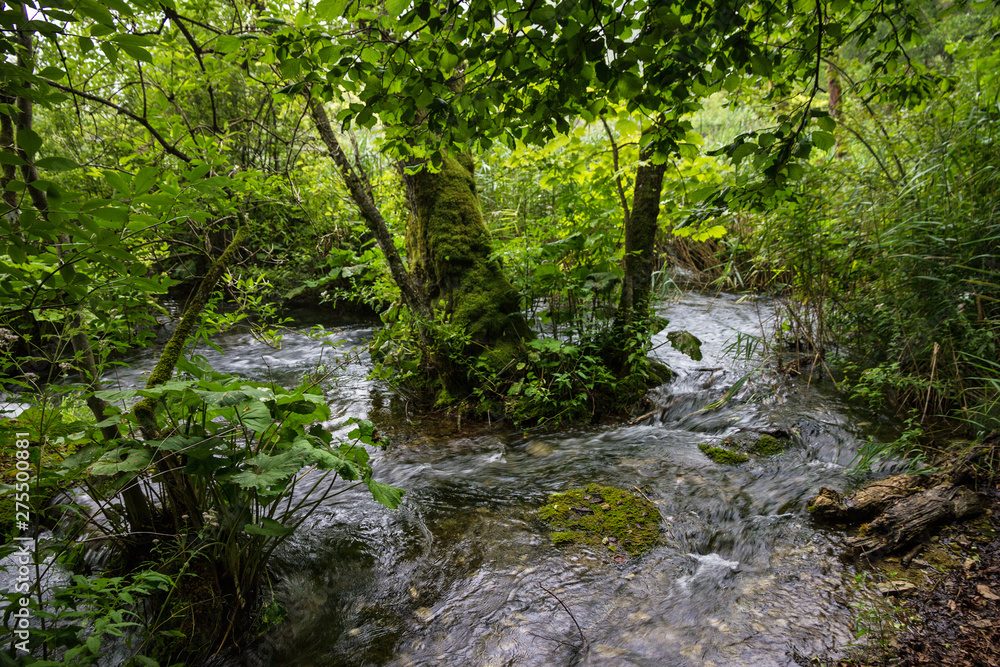 Plitvice lakes, waterfall green landscape, Croatia national park. Plitvice lakes, waterfall green landscape, Croatia national park.