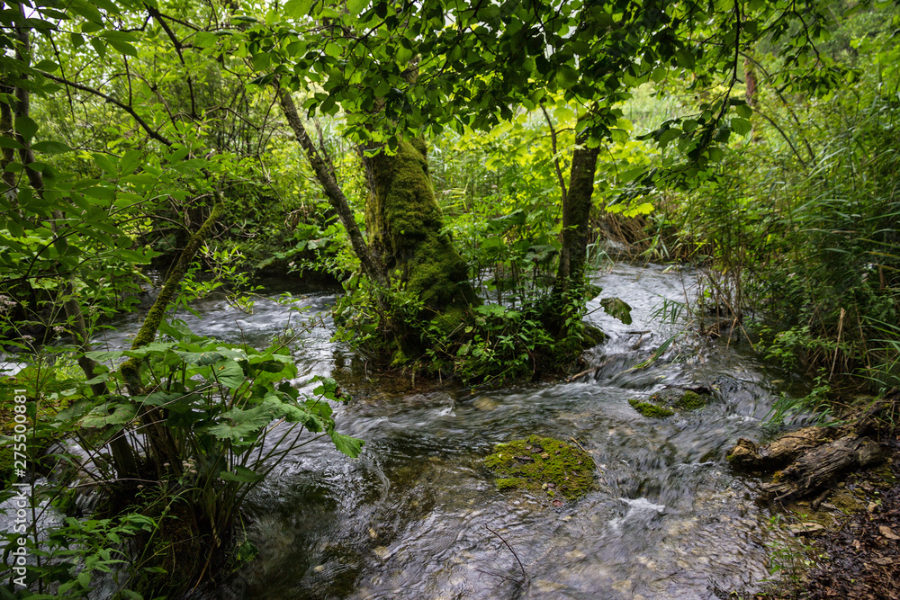 Plitvice lakes, waterfall green landscape, Croatia national park.