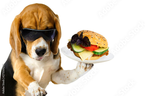 fast food, funny hand holdi...