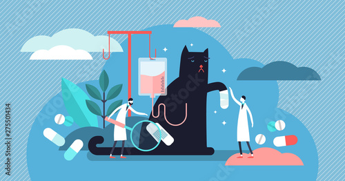 Veterinarian occupation vector illustration. Tiny health persons concept.