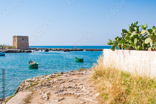 Baroque watchtower  beautiful old tower in San Vito  Polignano a Mare  Bari  Puglia  Italy with with blue sea  wooden boats  beach and cactus  Mediterranean landscape
