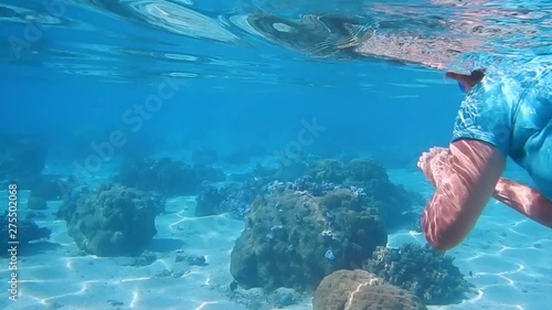 Snorkling, Moorea Reef and Lagoon, French Polynesia