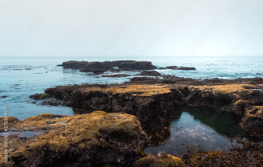 Rocky Foggy Calm Beach with Exposed Seabed Rock Formations Exposed Canad