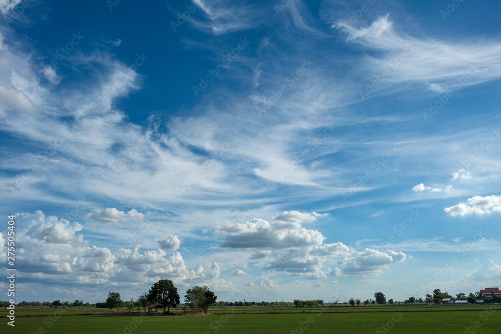Obraz premium Blue sky background with green fields and white clouds.