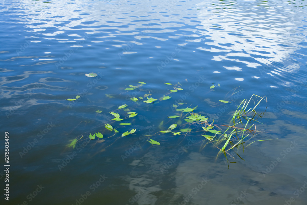 Beautiful landscape of Russia. Reflection of the sky in the water of the lake Beautiful landscape of Russia. Reflection of the sky in the water of the lake