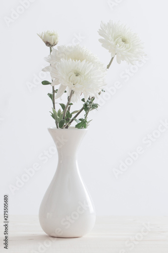 chrysanthemum in white vase