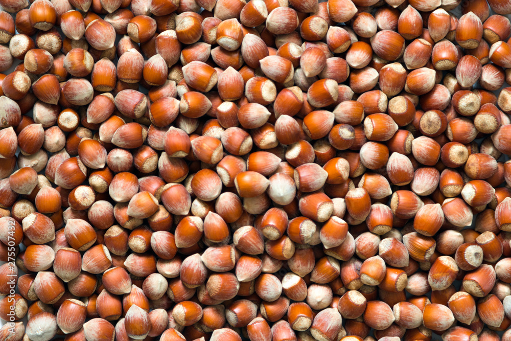 hazelnuts background. Space for text. Top view. hazelnuts background. Space for text. Top view.