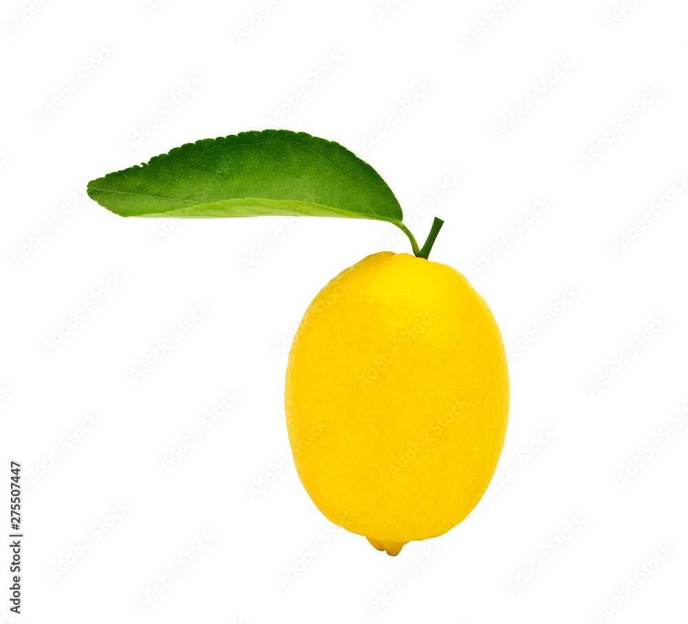 Fresh lemon yellow fruit green leaf isolated on white background with clipping path Fresh lemon yellow fruit green leaf isolated on white background with clipping path