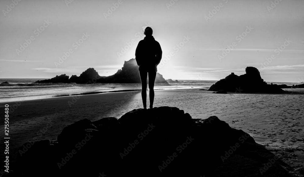Fototapeta premium Pfeiffer Beach in Big Sur a romantic gateway for couples
