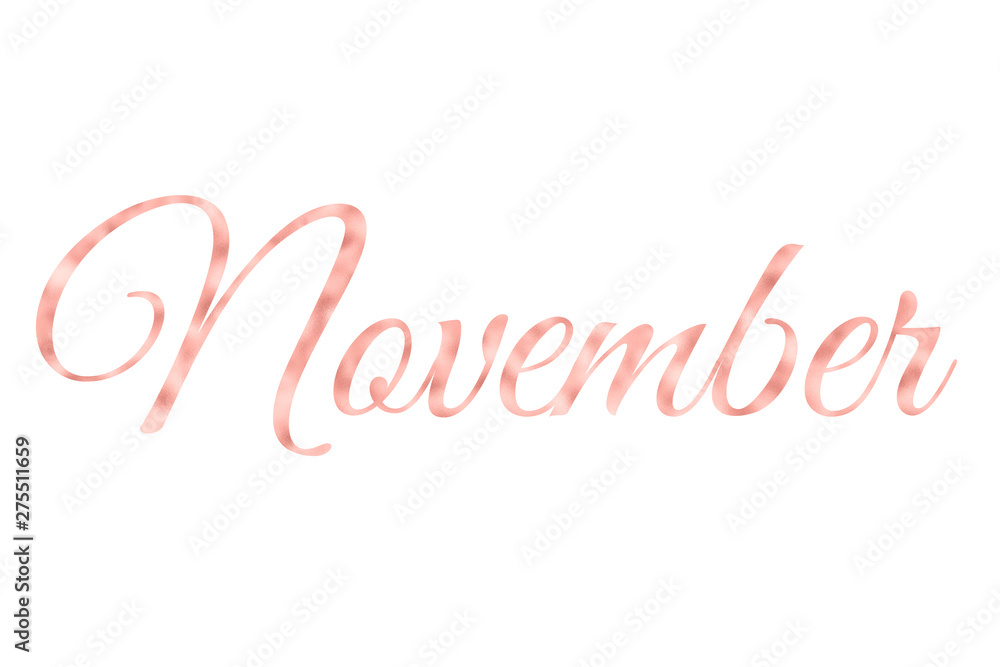 November in Rose Gold Foil, Rose Gold Months Of The Year On White Background November in Rose Gold Foil, Rose Gold Months Of The Year On White Background