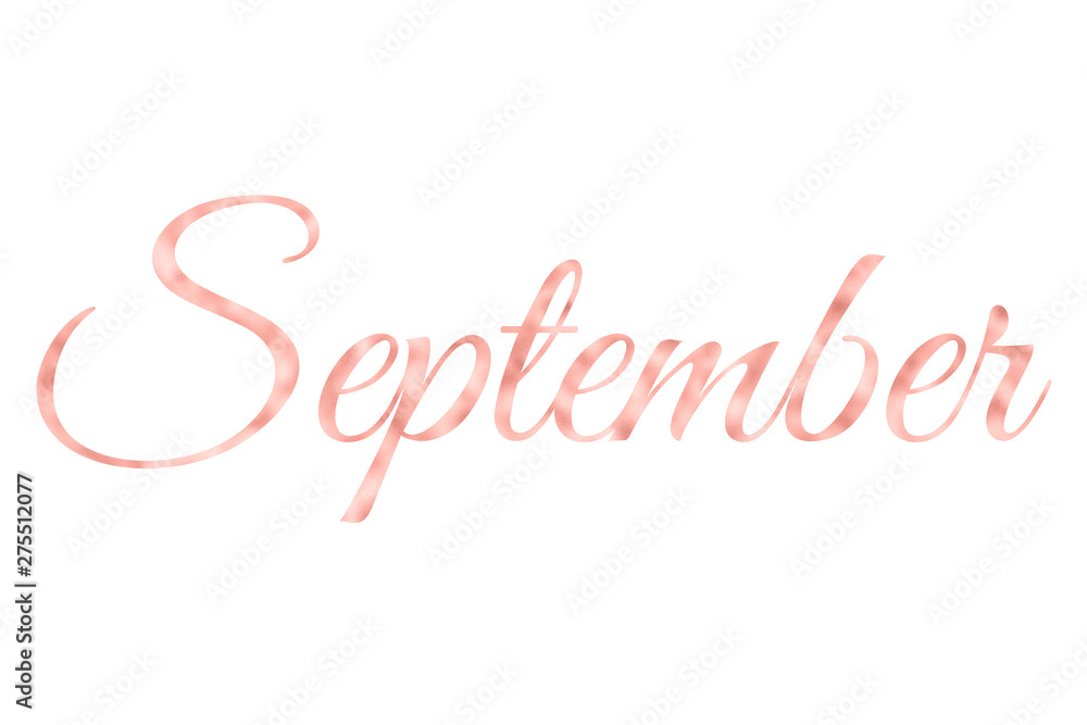 September in Rose Gold Foil, Rose Gold Months Of The Year On White Background
