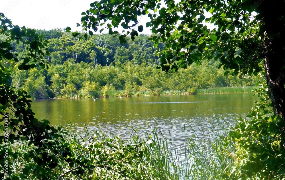 Blick auf den Herrensee in Brandenburg südöstlich von Straußberg