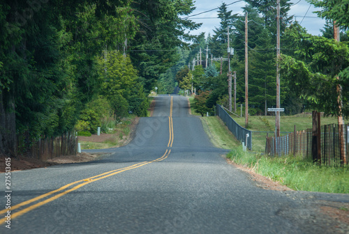 Road in Washington state forest photo