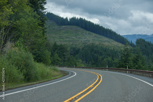 Road in Washington state forest