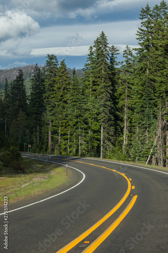 Road in Washington state forest