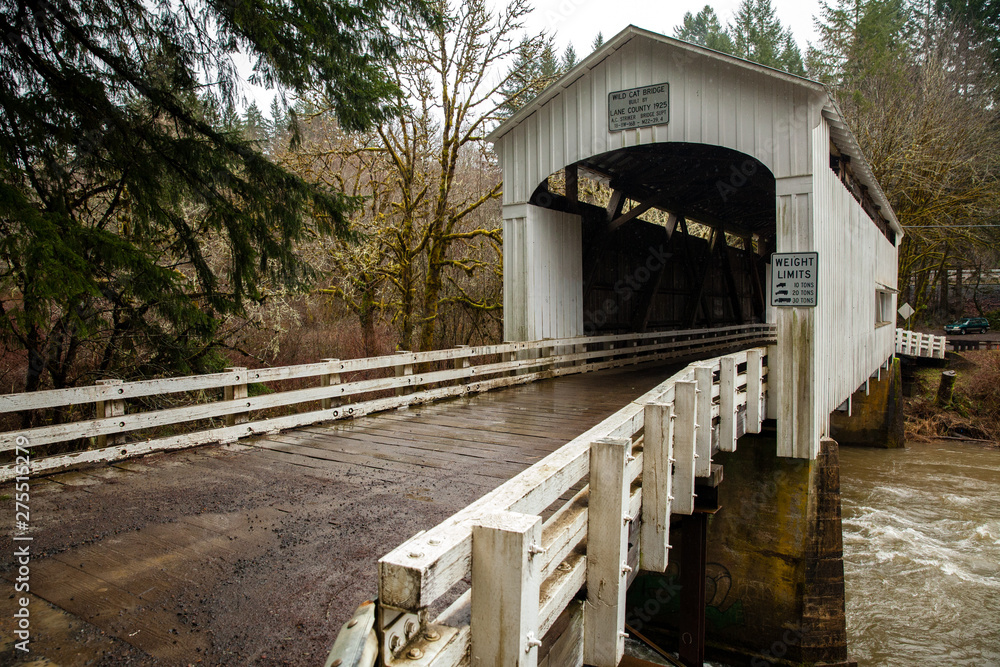 Covered Bridge in Oregon