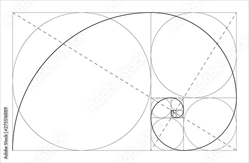 Golden ratio geometric concept. Fibonacci spiral. Vector illustration.