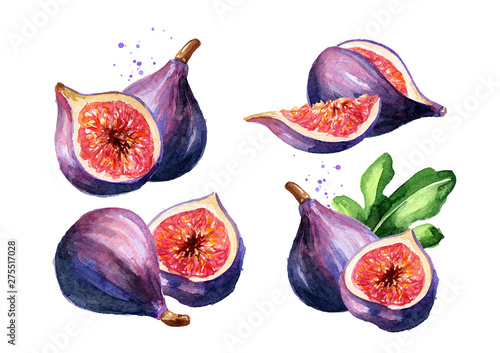 Fresh ripe purple fig fruit set. Watercolor hand drawn illustration, isolated on white background photo
