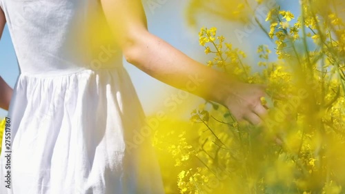 Beautiful young woman walking on field with wildflowers, enjoying nature outdoors. Touching flowers, Slow motion 240 fps. Full HD 1080p