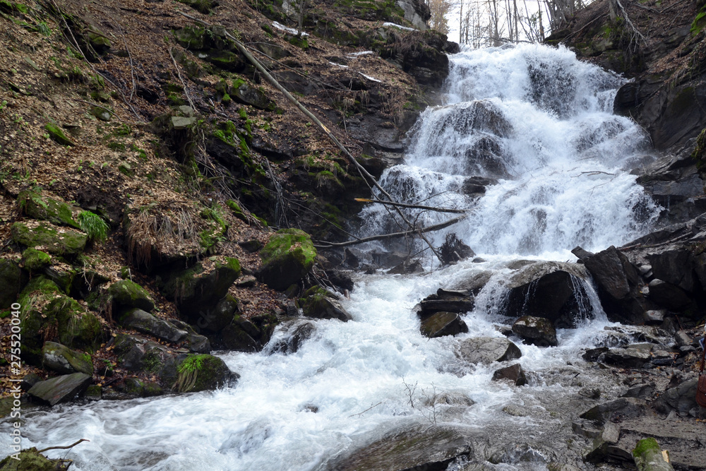 Naklejka premium Waterfall green forest river stream landscape