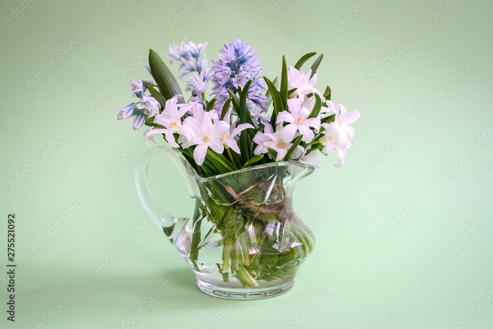 Bouquet of white flowers Chionodoxa in a glass vase on a green background