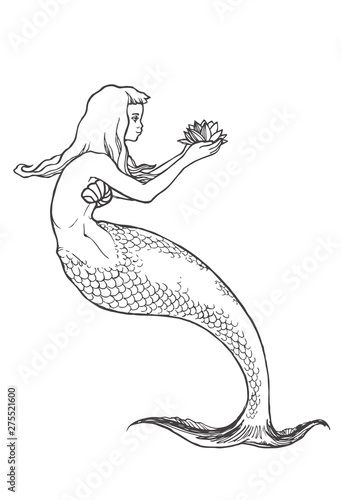 Vector hand drawn illustration of mermaid isolated on white. Black and white sketch of nixie