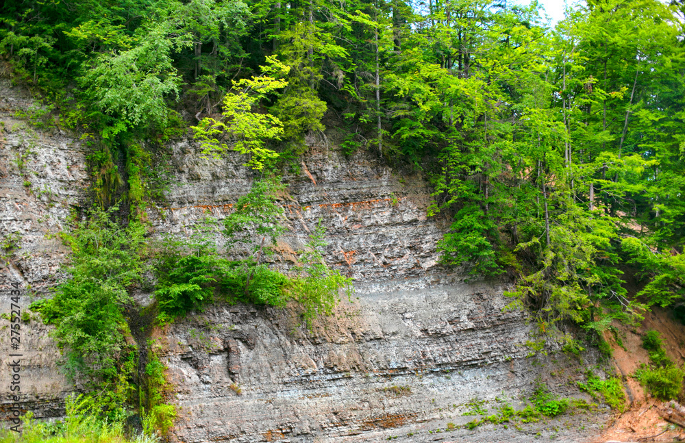Obraz premium mountain river, landscape in the Carpathian Mountains, view on the rock