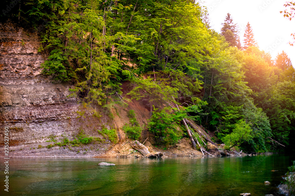 Obraz premium mountain river, landscape in the Carpathian Mountains, view on the rock