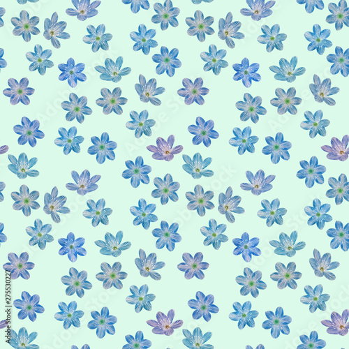 Blue flowers on a design background. Seamless botanic pattern. Decorative ornament. Flowers drawn for design. Decorative composition of flowers.