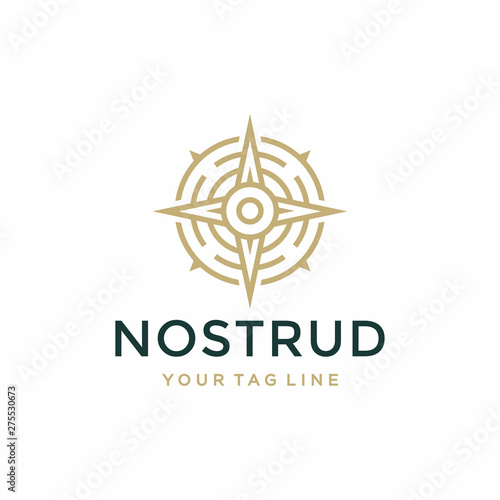 Compass logo design concept.