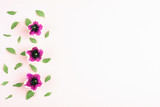 Beautiful pink flowers on white background. Top view, copy space.