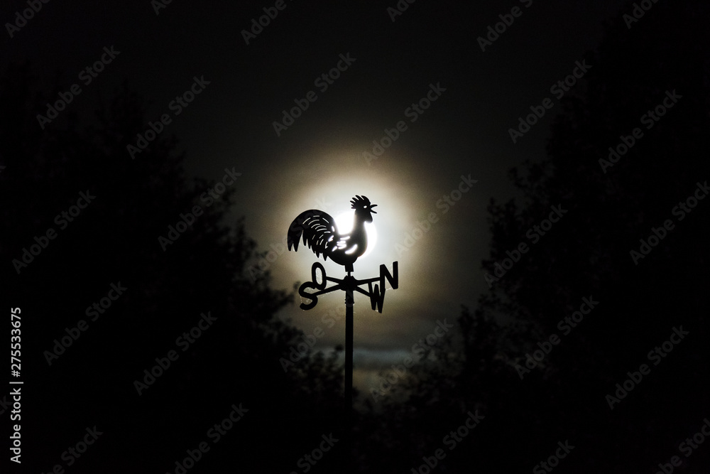 silhouette of cock in front of the moon