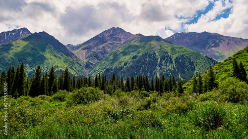 Panorama of the mountain valley in the summer. Amazing nature  mountains  lit by the sun in clear weather  summer in the mountains. Travel  tourism  beautiful background  a picture of nature