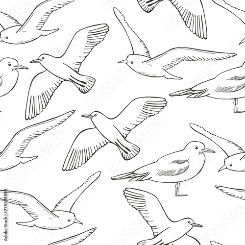 Seamless vector pattern with hand drawn seagulls