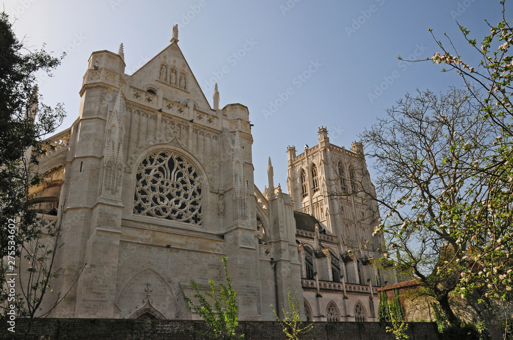 Obraz premium La cattedrale di Saint Omer, Pas-de-Calais, Hauts-de-France