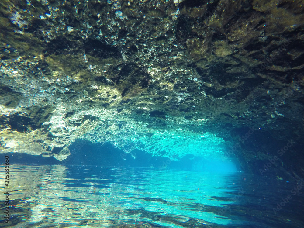 Obraz premium Underwater view of Cenotes Turtle House Tulum in Yucatan, Mexico