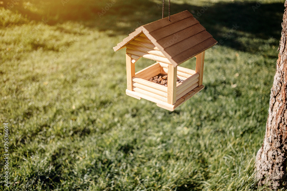 bird feeder with food