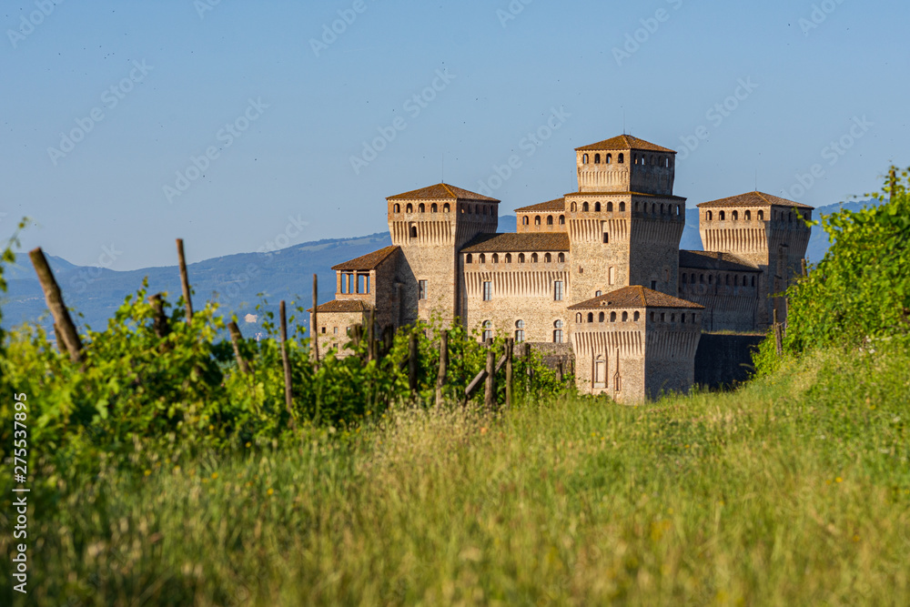 view of a castle from a vineyard on the Italian hills