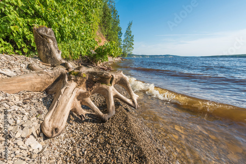 The Bank of the Kama river in the summer afternoon with snags and pebbles in the foreground and wave.