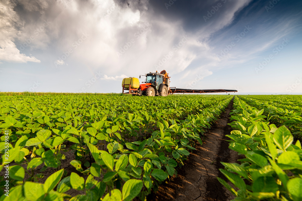 Spraying pesticides at soy bean fields Spraying pesticides at soy bean fields