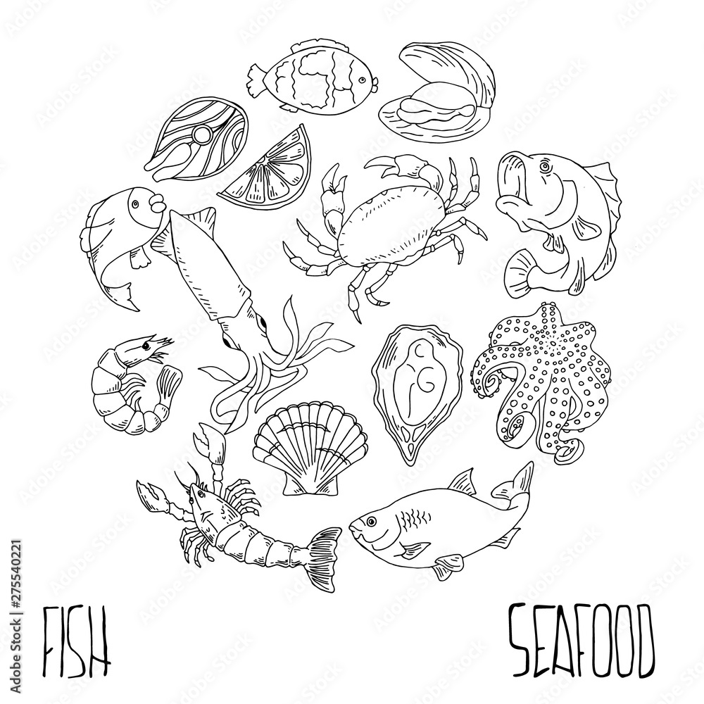 Set of hand drawn seafood, Healthy food drawings set elements for menu design. Vector illustration Set of hand drawn seafood, Healthy food drawings set elements for menu design. Vector illustration