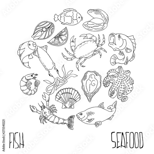 Set of hand drawn seafood, Healthy food drawings set elements for menu design. Vector illustration