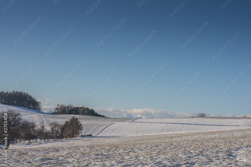 landschaft mit schnee und blauen himmel