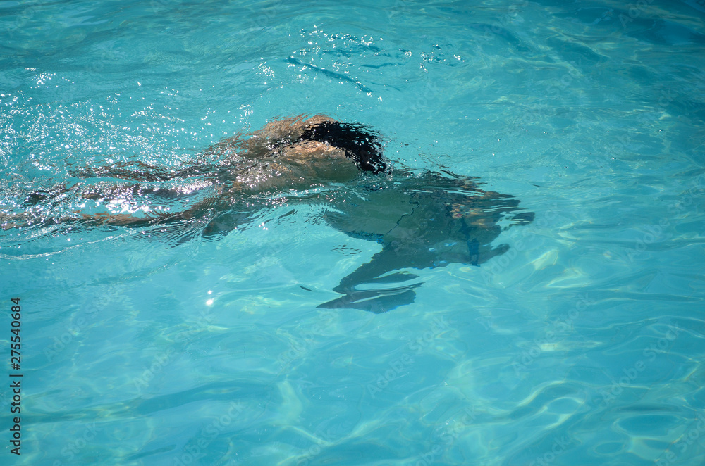 Obraz premium Young woman swimming underwater in swimming pool.