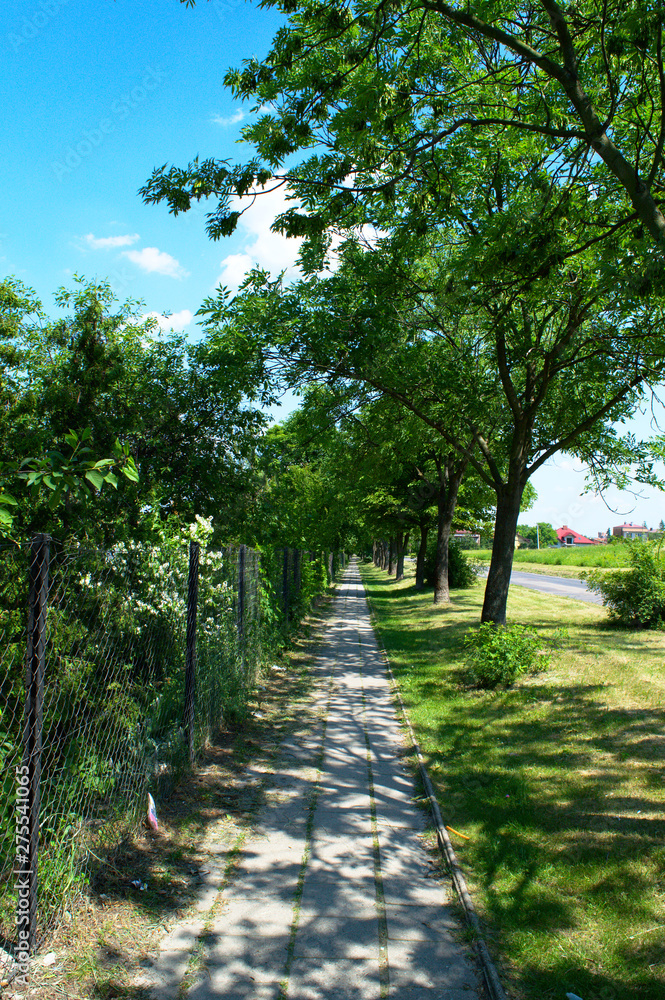 Empty pavement between a fence and a street, sunny day.