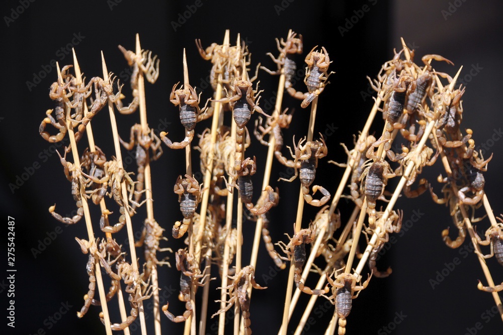 fried scorpions on a stick fried scorpions on a stick