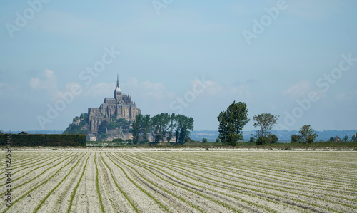 Mont St Michel with sand fields photo